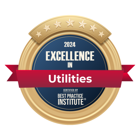 2024 Excellence in utilities badge